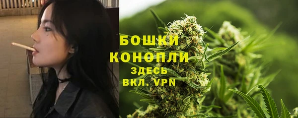 гашик Богданович