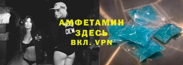 гашик Богданович