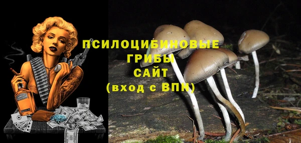ГАЛЛЮЦИНОГЕННЫЕ ГРИБЫ Богородск