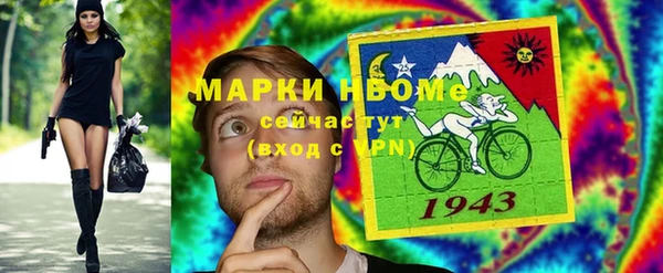 хмурый Богородицк
