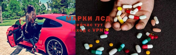 гашик Богданович