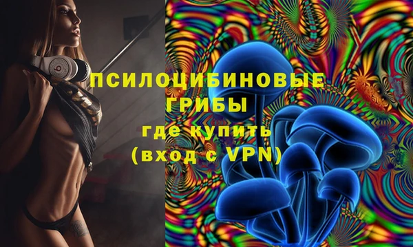 гашик Богданович