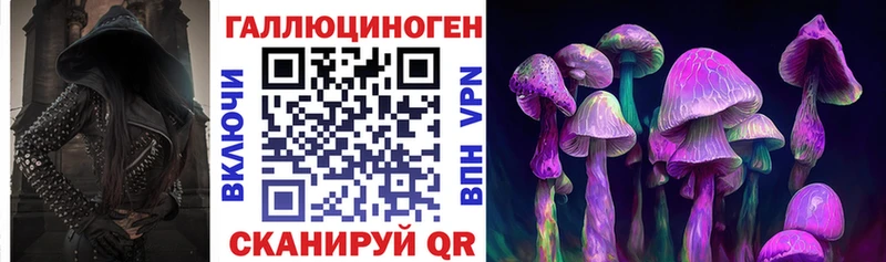 ссылка на мегу вход где продают наркотики Дрезна Галлюциногенные грибы Cubensis